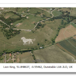 lion-google-earth.png